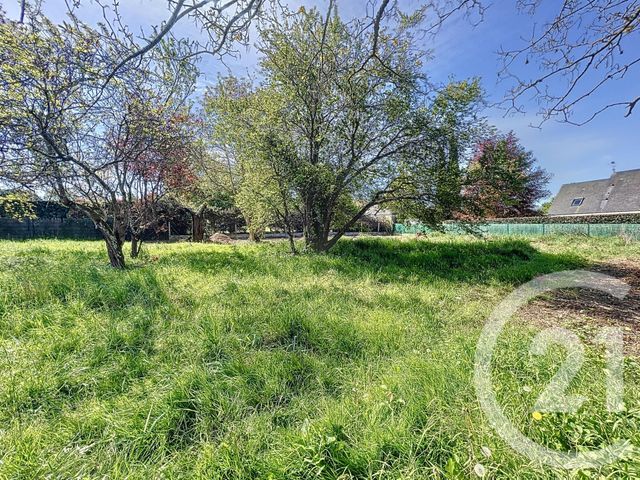 maison à vendre - 5 pièces - 132.98 m2 - ST CYR SUR LOIRE - 37 - CENTRE - Century 21 Agence Maginot