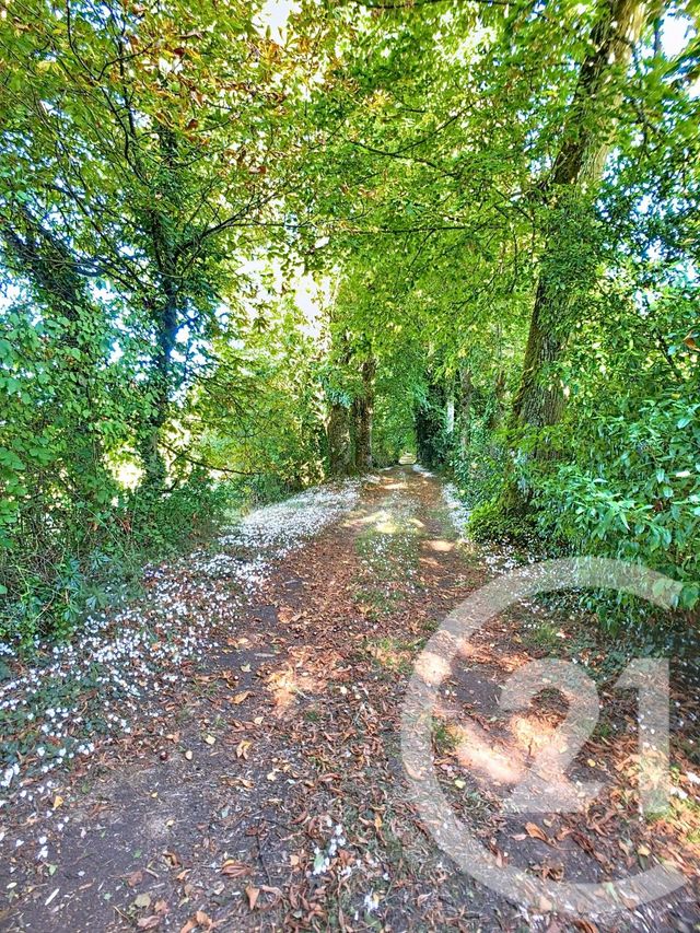 maison à vendre - 14 pièces - 667.57 m2 - TOURS - 37 - CENTRE - Century 21 Agence Maginot