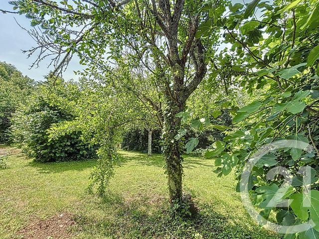 maison à vendre - 6 pièces - 199.77 m2 - NOUZILLY - 37 - CENTRE - Century 21 Agence Maginot