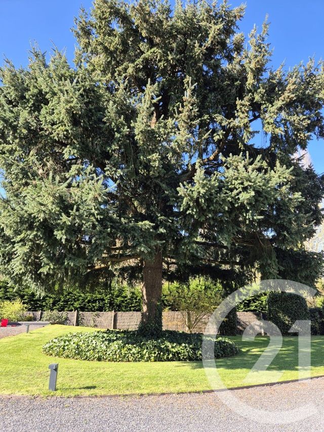 Afficher la photo en grand maison à vendre - 8 pièces - 290.0 m2 - BALLAN MIRE - 37 - CENTRE - Century 21 Agence Maginot