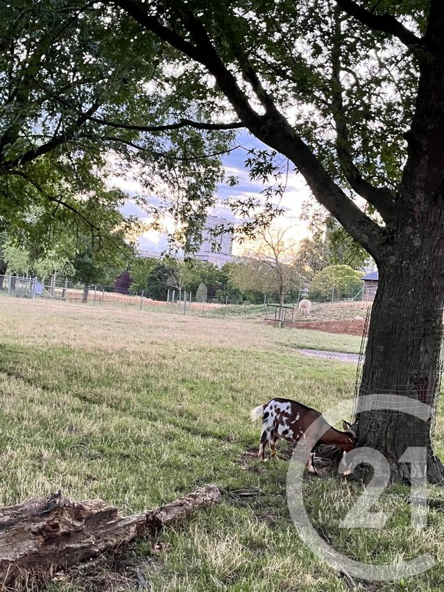 Appartement F5 à vendre - 5 pièces - 119.42 m2 - TOURS - 37 - CENTRE - Century 21 Agence Maginot